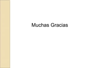 Muchas Gracias 