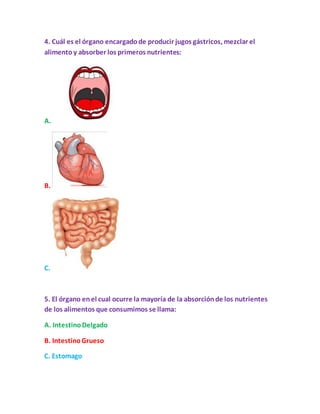4. Cuál es el órgano encargadode producir jugos gástricos, mezclar el
alimentoy absorber los primeros nutrientes:
A.
B.
C.
5. El órgano enel cual ocurre la mayoría de la absorciónde los nutrientes
de los alimentos que consumimos se llama:
A. IntestinoDelgado
B. IntestinoGrueso
C. Estomago