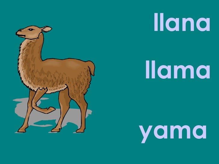 Evaluacion animales