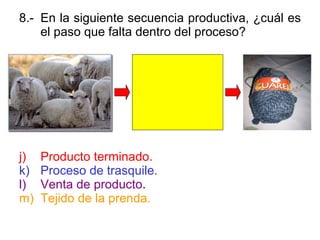 8.- En la siguiente secuencia productiva, ¿cuál es el paso que falta dentro del proceso? Producto terminado. Proceso de trasquile. Venta de producto . Tejido de la prenda. 