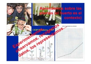Evaluar para aprender