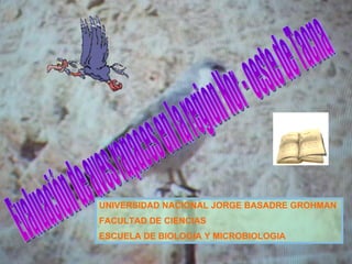 Evaluación de aves rapaces en la region Nor - oeste de Tacna UNIVERSIDAD NACIONAL JORGE BASADRE GROHMAN FACULTAD DE CIENCIAS ESCUELA DE BIOLOGIA Y MICROBIOLOGIA 