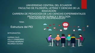 UNIVERSIDAD CENTRAL DEL ECUADOR
FACULTAD DE FILOSOFÍA, LETRAS Y CIENCIAS DE LA
EDUCACIÓN
CARRERA DE PEDAGOGÍA DE LAS CIENCIAS EXPERIMENTALES
PEDAGOGÍA EN QUÍMICA Y BIOLOGÍA
EVALUACIÓN DE LOS APRENDIZAJES
TEMA:
Estructura del PEI
INTEGRANTES:
KARINA CAJO
KELLY CHAMORRO
VIVIANA HERRERA
RICARDO OCHOA
 
