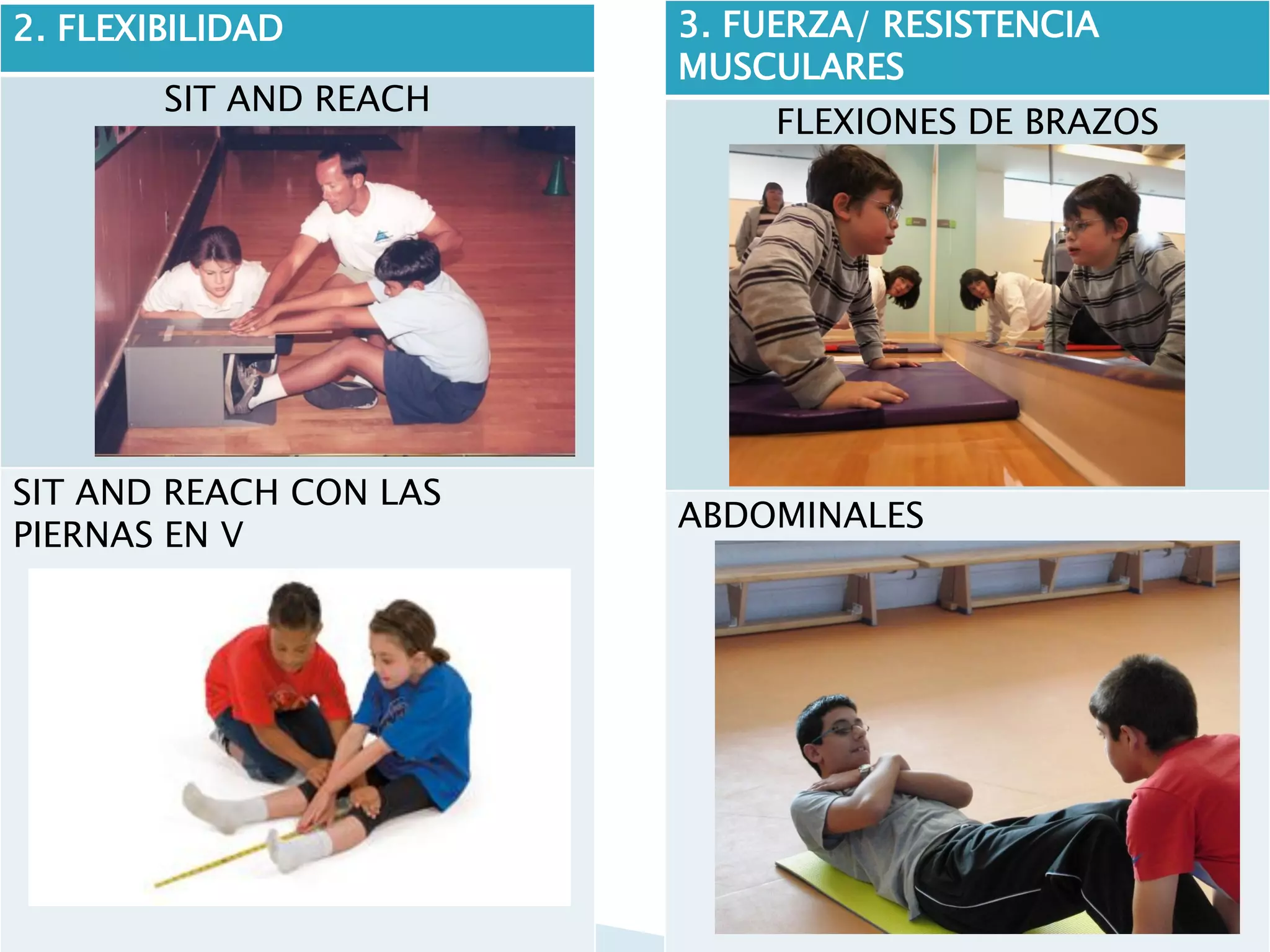 2. FLEXIBILIDAD         3. FUERZA/ RESISTENCIA
                        MUSCULARES
        SIT AND REACH
                             FLEXIONES DE BRAZOS




SIT AND REACH CON LAS
                        ABDOMINALES
PIERNAS EN V
 