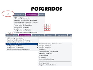 POSGRADOS
3



          3.1
          3.2
          3.3
3.1
 