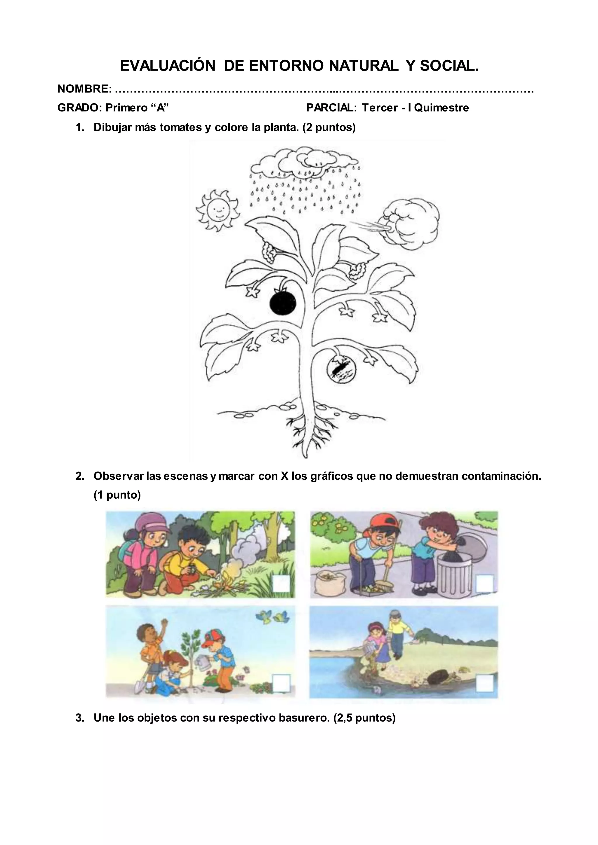 EVALUACIÓN DE ENTORNO NATURAL Y SOCIAL.
NOMBRE: …………………………………………………...…………………………………………….
GRADO: Primero “A” PARCIAL: Tercer - I Quimestre
1. Dibujar más tomates y colore la planta. (2 puntos)
2. Observar las escenas y marcar con X los gráficos que no demuestran contaminación.
(1 punto)
3. Une los objetos con su respectivo basurero. (2,5 puntos)
 
