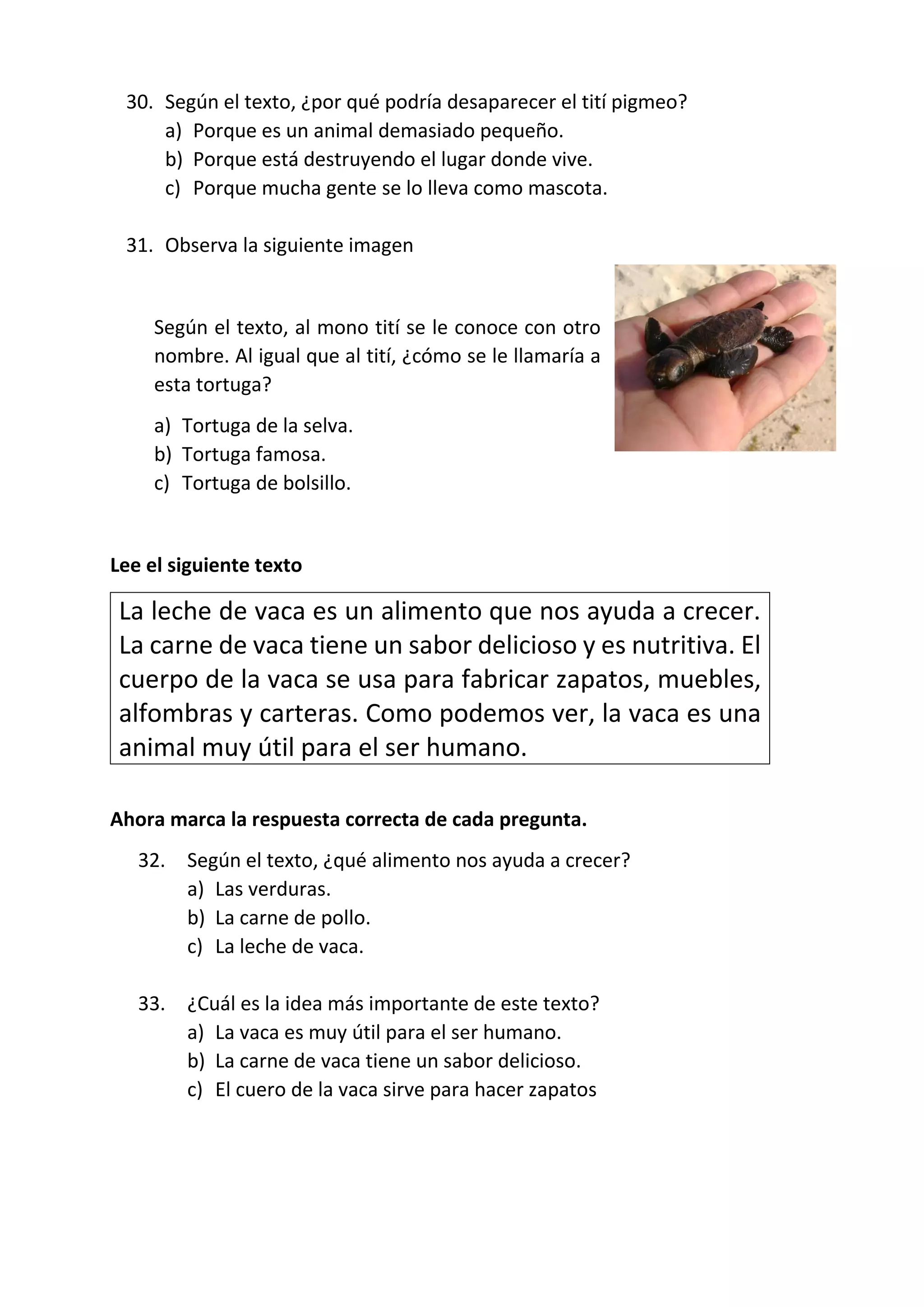 30. Según el texto, ¿por qué podría desaparecer el tití pigmeo?
a) Porque es un animal demasiado pequeño.
b) Porque está destruyendo el lugar donde vive.
c) Porque mucha gente se lo lleva como mascota.
31. Observa la siguiente imagen
Según el texto, al mono tití se le conoce con otro
nombre. Al igual que al tití, ¿cómo se le llamaría a
esta tortuga?
a) Tortuga de la selva.
b) Tortuga famosa.
c) Tortuga de bolsillo.
Lee el siguiente texto
La leche de vaca es un alimento que nos ayuda a crecer.
La carne de vaca tiene un sabor delicioso y es nutritiva. El
cuerpo de la vaca se usa para fabricar zapatos, muebles,
alfombras y carteras. Como podemos ver, la vaca es una
animal muy útil para el ser humano.
Ahora marca la respuesta correcta de cada pregunta.
32. Según el texto, ¿qué alimento nos ayuda a crecer?
a) Las verduras.
b) La carne de pollo.
c) La leche de vaca.
33. ¿Cuál es la idea más importante de este texto?
a) La vaca es muy útil para el ser humano.
b) La carne de vaca tiene un sabor delicioso.
c) El cuero de la vaca sirve para hacer zapatos
 