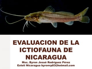 EVALUACION DE LA
ICTIOFAUNA DE
NICARAGUA
Msc. Byron Josué Rodríguez Pérez
Estelí Nicaragua byronrp83@hotmail.com
 