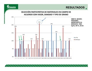 Evaluación agronómica y sensorial de fríjol mejorado nutricionalmente en el Cesar