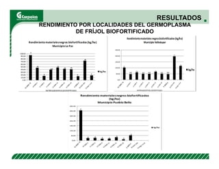 Evaluación agronómica y sensorial de fríjol mejorado nutricionalmente en el Cesar