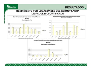 Evaluación agronómica y sensorial de fríjol mejorado nutricionalmente en el Cesar