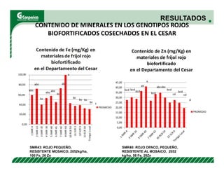 Evaluación agronómica y sensorial de fríjol mejorado nutricionalmente en el Cesar