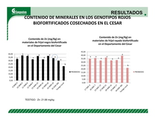 Evaluación agronómica y sensorial de fríjol mejorado nutricionalmente en el Cesar