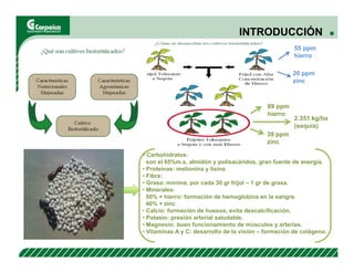 Evaluación agronómica y sensorial de fríjol mejorado nutricionalmente en el Cesar
