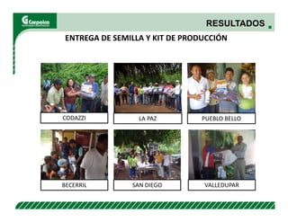 Evaluación agronómica y sensorial de fríjol mejorado nutricionalmente en el Cesar