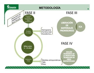 Evaluación agronómica y sensorial de fríjol mejorado nutricionalmente en el Cesar