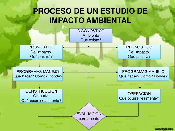 Resultado de imagen para mapa conceptual de evaluacion de impacto ambiental