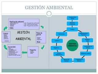 GESTIÓN AMBIENTAL
 