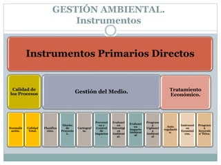 GESTIÓN AMBIENTAL.
Instrumentos
Instrumentos Primarios Directos
Calidad de
los Procesos
Normaliz
ación.
Calidad
Total.
Gestión del Medio.
Planifica
ción.
Diseño
de
Proyecto
s.
Cartograf
ía.
Prevenci
on y
Control
de
Impactos
.
Evaluaci
on
Estratégi
ca
Ambient
al.
Evaluaci
on
Impacto
Ambient
al
Program
a
Vigilanci
a
Ambient
al
Tratamiento
Económico.
Auto
regulació
n.
Instruent
os
Económi
cos.
Program
a
Inversió
n¨Ética.
 