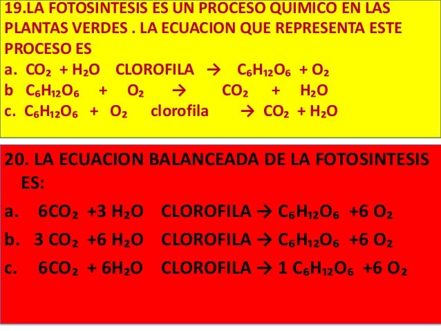Ecuacion de la fotosintesis balanceada Ecuacion de la fotosintesis balanceada