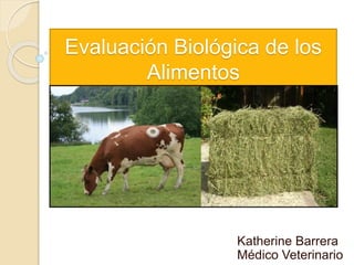 Evaluación Biológica de los
Alimentos
Katherine Barrera
Médico Veterinario
 