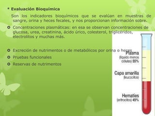 * Evaluación Bioquímica
  Son los indicadores bioquímicos que se evalúan en muestras de
   sangre, orina y heces fecales, y nos proporcionan información sobre.
 Concentraciones plasmáticas: en esa se observan concentraciones de
  glucosa, urea, creatinina, ácido úrico, colesterol, triglicéridos,
  electrolitos y muchas más.


 Excreción de nutrimentos o de metabólicos por orina o heces
 Pruebas funcionales
 Reservas de nutrimentos
 