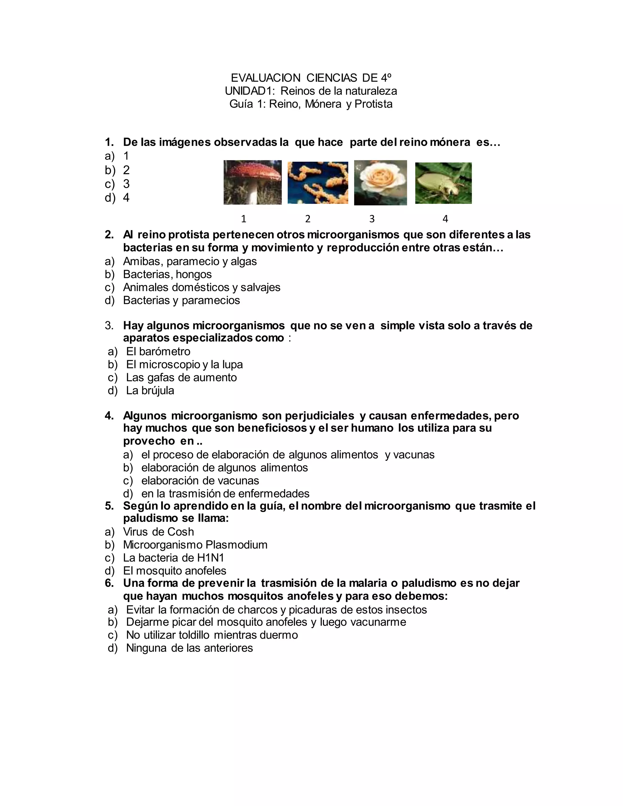 Evaluacion ciencias de 4º | DOCX