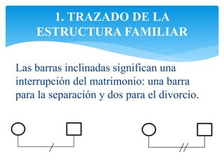 Las barras inclinadas significan una
interrupción del matrimonio: una barra
para la separación y dos para el divorcio.
1. TRAZADO DE LA
ESTRUCTURA FAMILIAR
 