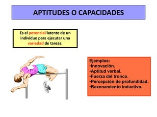 Elaboración de reportes.