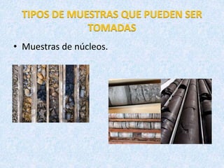 • Muestras de núcleos.
 