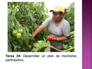 Tarea 24: Desarrollar un plan de monitoreo
participativo.
 