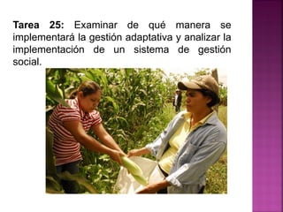 Tarea 25: Examinar de qué manera se
implementará la gestión adaptativa y analizar la
implementación de un sistema de gestión
social.
 
