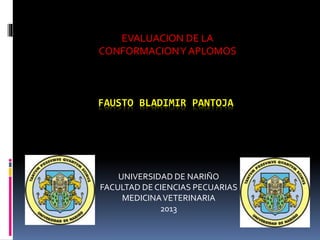 FAUSTO BLADIMIR PANTOJA
UNIVERSIDAD DE NARIÑO
FACULTAD DE CIENCIAS PECUARIAS
MEDICINAVETERINARIA
2013
EVALUACION DE LA
CONFORMACIONY APLOMOS
 