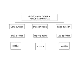 RESISTENCIA GENERAL AERÓBICA DINÁMICA Corta duración Duración media Larga duración De 3 a 10 min De 10 a 30 min Más de 30 min 3000 m 10000 m Maratón 