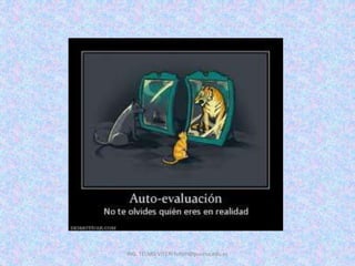 ING. TELMO VITERI tviteri@pucesa.edu.ec
 