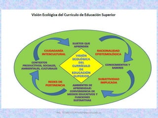 ING. TELMO VITERI tviteri@pucesa.edu.ec
 
