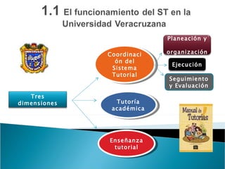 Coordinación del Sistema Tutorial Tutoría académica Enseñanza tutorial Tres dimensiones Planeación y organización Ejecución Seguimiento y Evaluación 