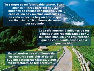 Tu sangre es un formidable tesoro. Son apenas 4 litros pero allí hay 22 millones de células sanguíneas, y en cada célula hay muchas moléculas y en cada molécula hay un átomo que oscila más de 10 millones de veces por segundo. Cada día mueren 2 millones de tus células y son reemplazadas por 2 millones más, en una resurrección que ha continuado desde el día que naciste. En tu cerebro hay 4 millones de estructuras sensibles al dolor, 500 mil detectores táctiles, y 200 mil detectores de temperatura... 