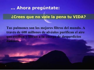 ... Ahora pregúntate: ¿Crees que no vale la pena tu VIDA? Tus pulmones son los mejores filtros del mundo. A través de 600 millones de alvéolos purifican el aire que reciben y libran a tu cuerpo de desperdicios dañinos. 