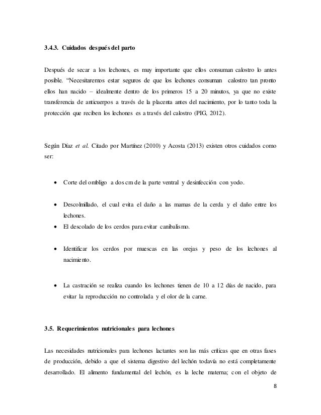 cerca masaje lechón cerca masaje lechón