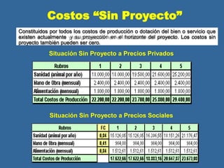 Costos “Sin Proyecto”
Constituidos por todos los costos de producción o dotación del bien o servicio que
existen actualmente y su proyección en el horizonte del proyecto. Los costos sin
proyecto también pueden ser cero.
Situación Sin Proyecto a Precios Privados
Situación Sin Proyecto a Precios Sociales
 