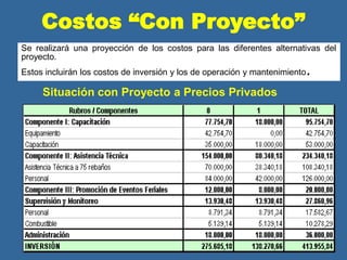 Costos “Con Proyecto”
Se realizará una proyección de los costos para las diferentes alternativas del
proyecto.
Estos incluirán los costos de inversión y los de operación y mantenimiento.
Situación con Proyecto a Precios Privados
 