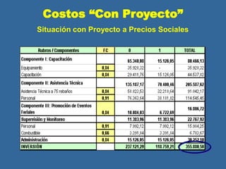 Costos “Con Proyecto”
Situación con Proyecto a Precios Sociales
 