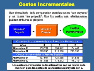 Costos Incrementales
Son el resultado de la comparación entre los costos “con proyecto”
y los costos “sin proyecto”. Son los costos que, efectivamente,
pueden atribuirse al proyecto
Costos con
Proyecto
Costos sin
Proyecto
Costos
Incrementales
C o s t o s in c re m e n t a le s a P re c io s P riv a d o s
Los costos incrementales de las alternativas son los mismo de la
inversión pues los costos de la situación sin proyecto son 0.
Años 0 1 2
Alternativa 01 159,757 154,442 154,442
Alternativa 02 215,245 213,398 213,398
Costos incrementales a Precios Sociales
Alternativa 01 137,941 131,585 131,585
Alternativa 02 181,825 178,212 178,212
 