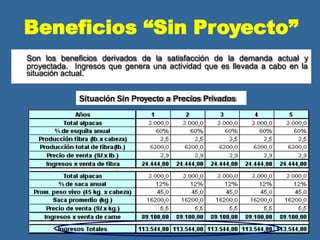Beneficios “Sin Proyecto”
Situación Con Proyecto a Precios Sociales
Son los beneficios derivados de la satisfacción de la demanda actual y
proyectada. Ingresos que genera una actividad que es llevada a cabo en la
situación actual.
Situación Sin Proyecto a Precios Privados
 