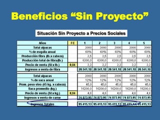 Situación Sin Proyecto a Precios Sociales
Beneficios “Sin Proyecto”
 