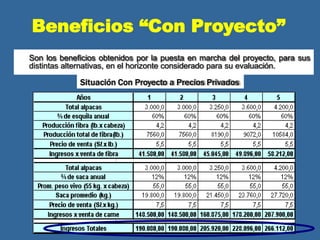 Son los beneficios obtenidos por la puesta en marcha del proyecto, para sus
distintas alternativas, en el horizonte considerado para su evaluación.
Situación Con Proyecto a Precios Privados
Beneficios “Con Proyecto”
 