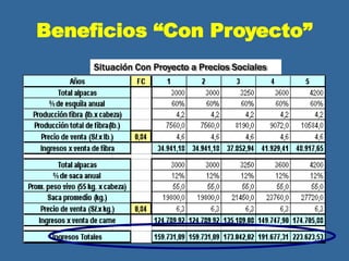 Situación Con Proyecto a Precios Sociales
Beneficios “Con Proyecto”
 