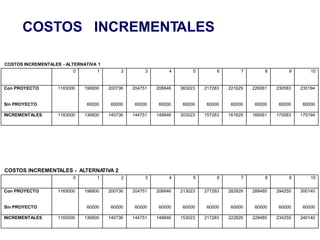 COSTOS INCREMENTALES
COSTOS INCREMENTALES - ALTERNATIVA 1
COSTOS INCREMENTALES - ALTERNA
TIVA 2
0 1 2 3 4 5 6 7 8 9 10
Con PROYECTO 1183000 196800 200736 204751 208846 363023 217283 221629 226061 230583 235194
Sin PROYECTO 60000 60000 60000 60000 60000 60000 60000 60000 60000 60000
INCREMENTALES 1183000 136800 140736 144751 148846 303023 157283 161629 166061 170583 175194
0 1 2 3 4 5 6 7 8 9 10
Con PROYECTO 1165000 196800 200736 204751 208846 213023 277283 282829 288485 294255 300140
Sin PROYECTO 60000 60000 60000 60000 60000 60000 60000 60000 60000 60000
INCREMENTALES 1165000 136800 140736 144751 148846 153023 217283 222829 228485 234255 240140
 