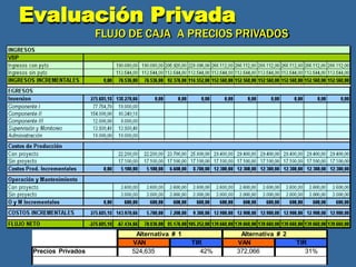 Evaluación Privada
FLUJO DE CAJA A PRECIOS PRIVADOS
P r e c io s S o c ia le s 1 , 2 2 1 , 2 4 5 8 2 % 1 , 1 0 0 , 5 8 1 6 7 %
Alternativa # 1 Alternativa # 2
VAN TIR VAN TIR
Precios Privados 524,635 42% 372,066 31%
 